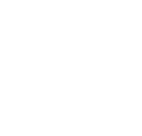 DFM